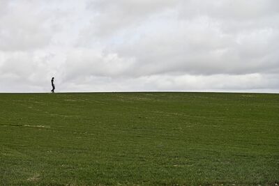  Allenarsi in Montagna (senza vivere in Montagna) 