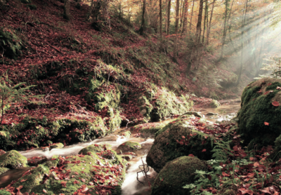  C’è un sentiero in Calabria dove il silenzio arriva al cuore 