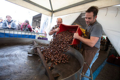  Queste sono le 4 sagre italiane da non perdere se ami la natura e il buon cibo 