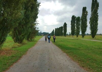  La Via dei Monaci, da Milano alla via Francigena, le tappe e la mappa 