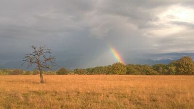  In Piemonte c’è una riserva che in autunno sembra un altro pianeta, un vero deserto dai colori caldi 