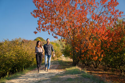  Questo punto panoramico in Piemonte regala i tramonti più belli d’autunno 