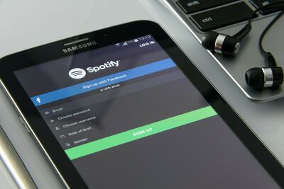  Spotify, liste di musica per Cani e Gatti 
