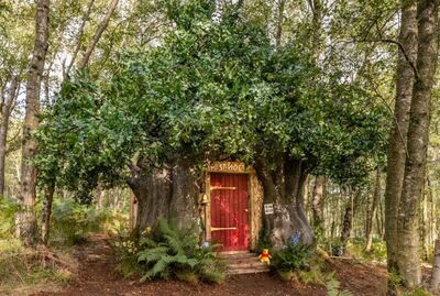  Da oggi si può dormire nella casa di Winnie the Pooh con Airbnb 