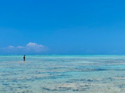  Dove soggiornare a Zanzibar