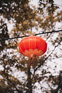  Capodanno Cinese 2025: curiosità e dove festeggiarlo in Italia tra danze tradizionali e Street Food autentico | Domanipress 