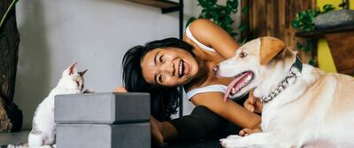  Rendere la propria casa sicura per un animale domestico: una Guida pratica 