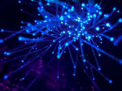  Fibra, Open Fiber batte Tim nella gara a favore delle aree grigie 