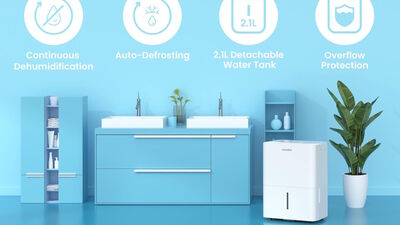  Umidità e muffa addio a 99: questo deumidificatore da 10L/24h è tra i più venduti su Amazon 