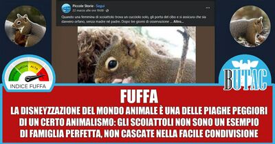  Scoiattoli e Piccole Storie 