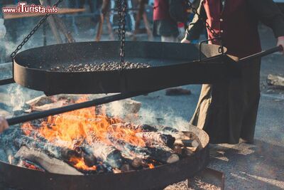  La sagra della Castagna a San Donato di Ninea: Festa d'autunno | Date 2024 