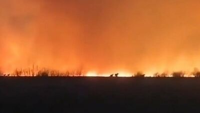  Siberia di nuovo in fiamme: 'Incendi raddoppiati rispetto ad Aprile 2021' 