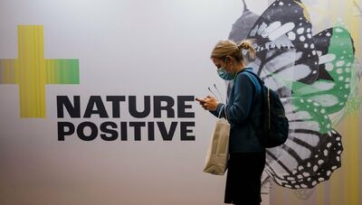  2022, le buone notizie per l'ambiente 