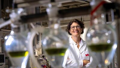  Dagli scarti di pomodoro il carburante per gli aerei 