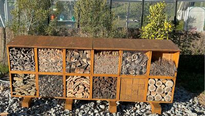  Benvenuti animali: 10 azioni per un giardinaggio a favore della fauna 