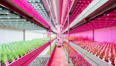  Illuminazione solare, vertical farming e stampa 3d: come l’illuminazione intelligente e sostenibile può cambiare il nostro modo di vivere 