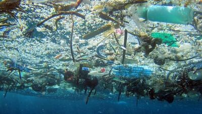  La plastica che scompare: la nuova frontiera dei materiali biodegradabili 