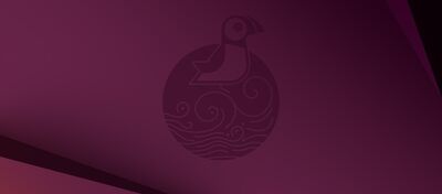  Ubuntu 25.04: tutte le novità della nuova release di Canonical 