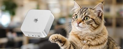  Mega coupon sconto di 230€ sul Mini PC Beelink: ultimissimi a disposizione 