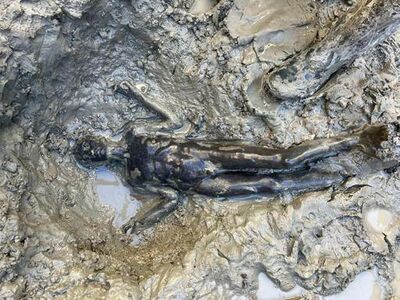  San Casciano come Riace, spuntano 24 statue di bronzo dall’acqua 